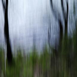 kindofviolet